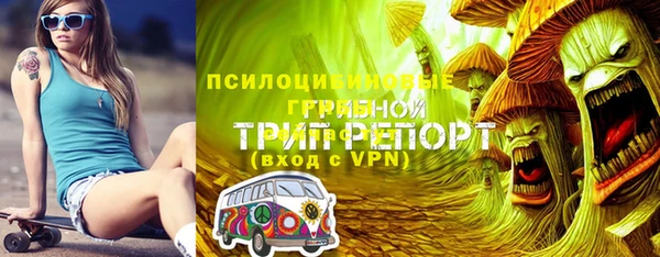 шишки Зеленокумск