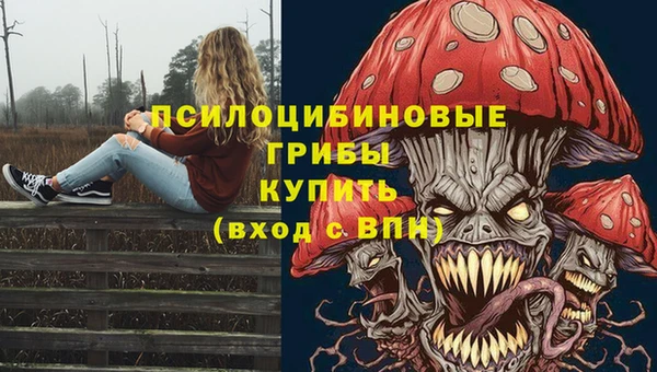 шишки Зеленокумск