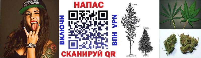 купить   Долгопрудный  Бошки Шишки LSD WEED 